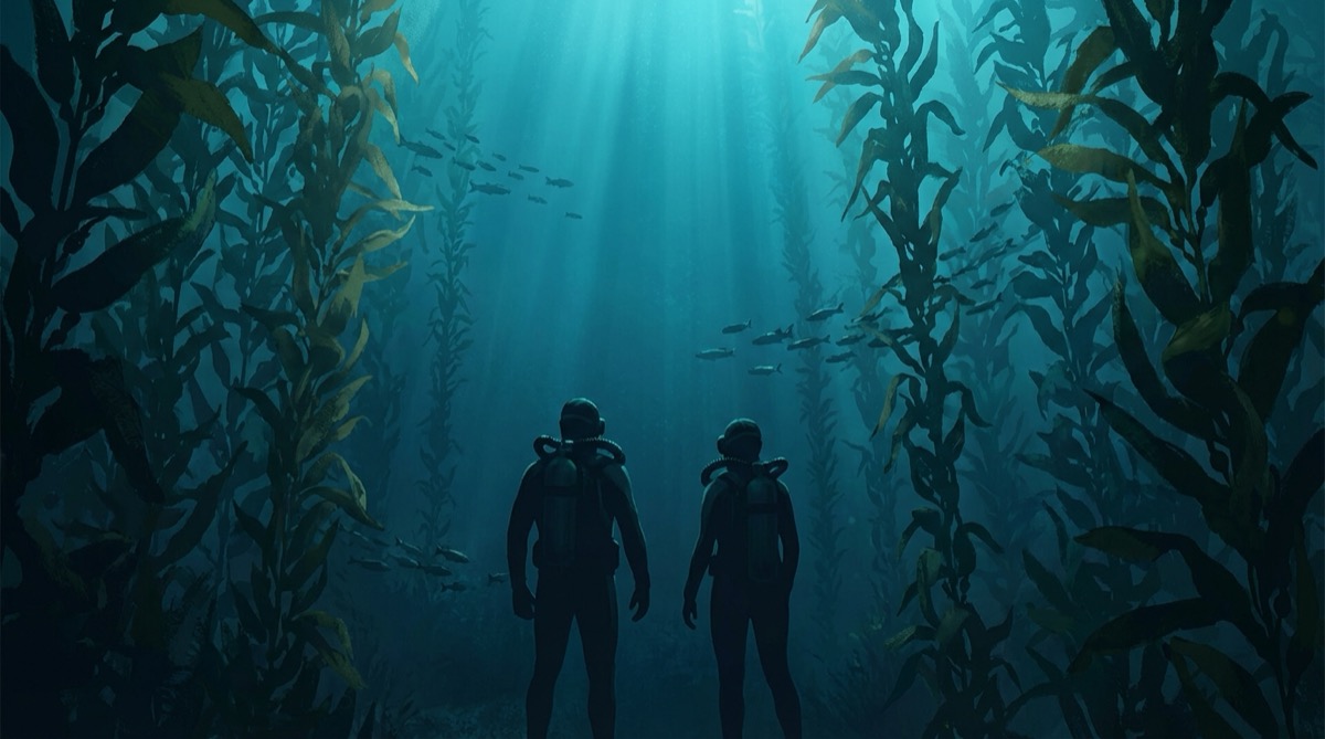 An operator surveying the kelp forest ecosystem